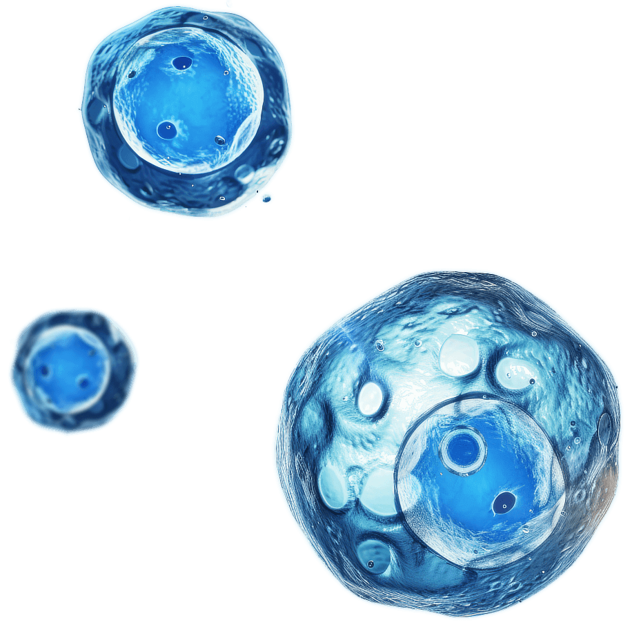 cells