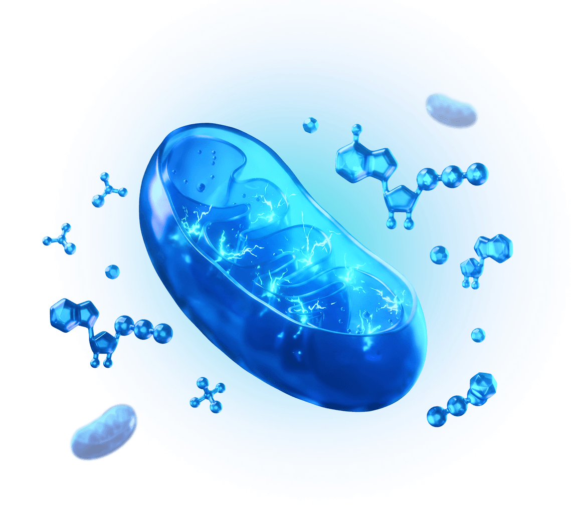 cells